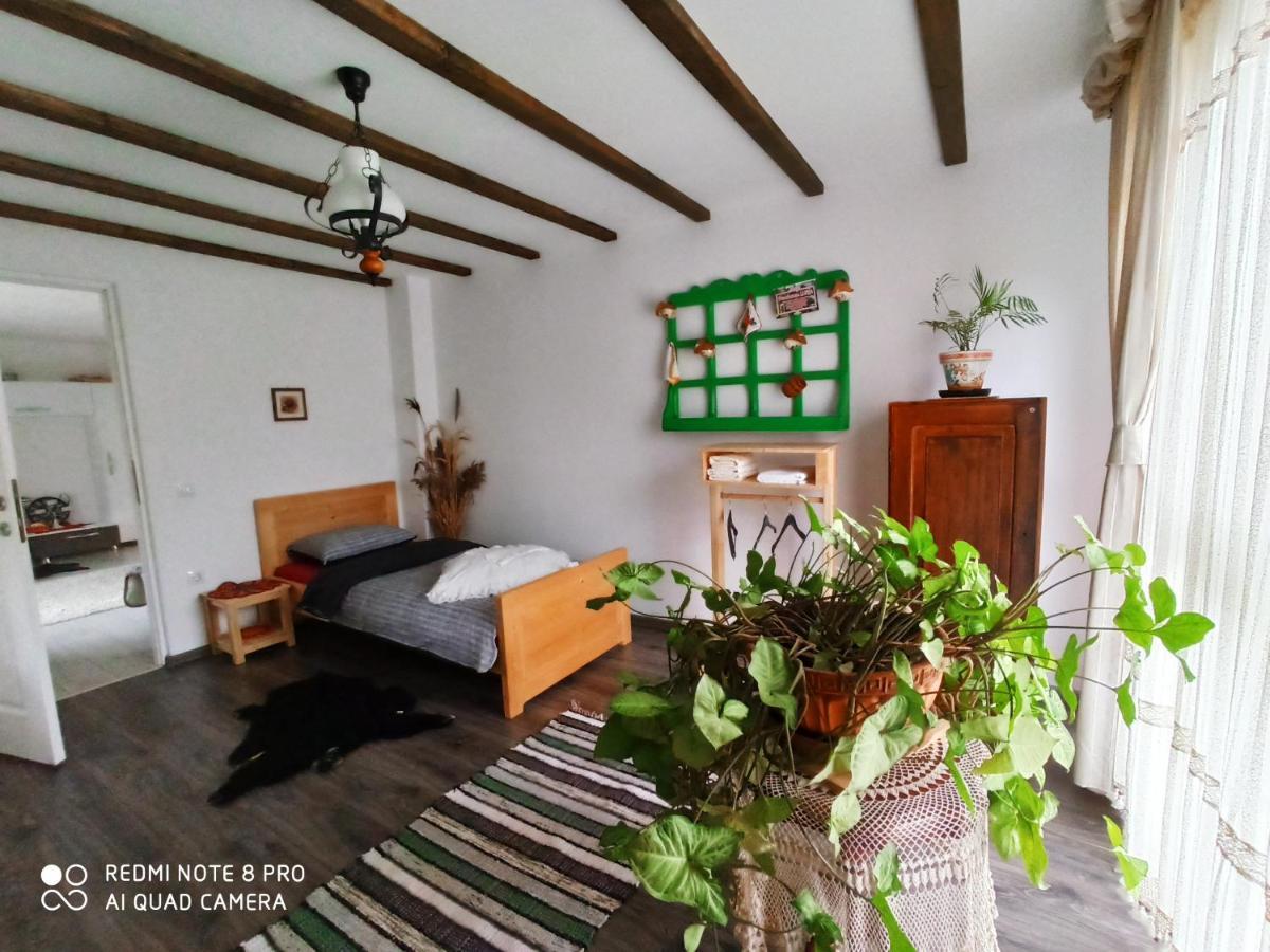 Готель Casa Lucia Damuc Екстер'єр фото